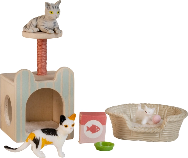 Cozy equipment for cats