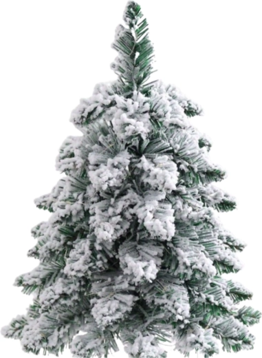 Realistiski apsniguši zari