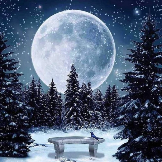 Diamond Painting – Winter Full Moon 30 × 40 cm