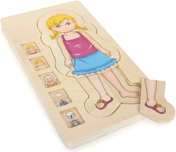 Wooden Layered Girl Anatomy Puzzle
