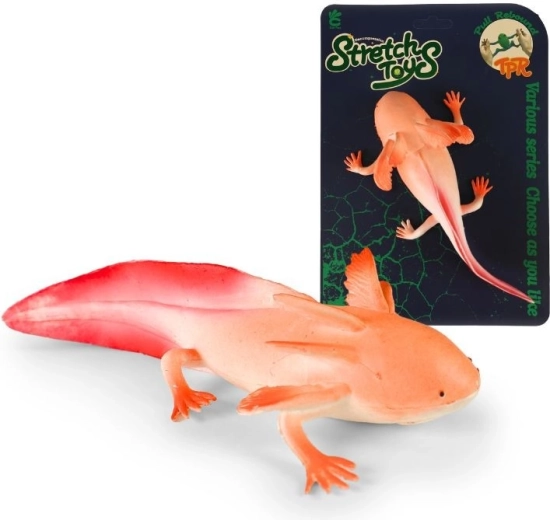 Rubber axolotl