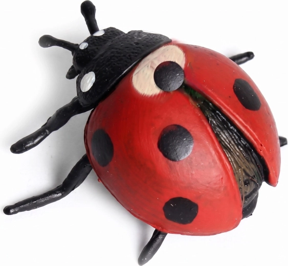Realistic ladybird design