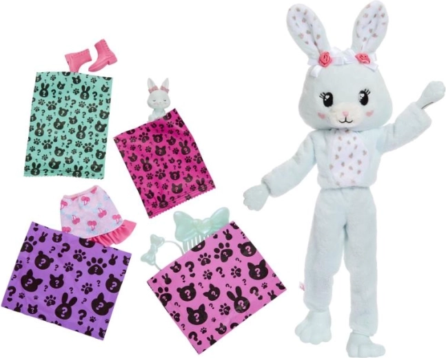 Cute pet and accessories