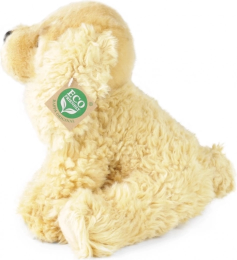 Eco‑friendly pildījums no pārstrādātām PET pudelēm