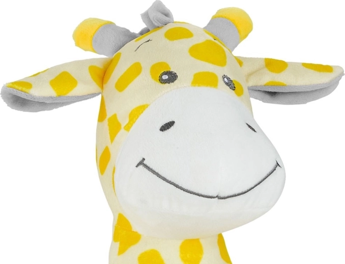 Removable projector and soft plush