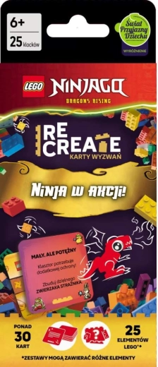 LEGO NINJAGO Challenge Cards: Ninja in Action