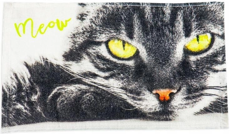 Kitten Towel