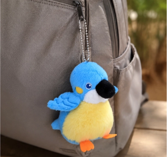 Charm for a backpack, bag, and keys