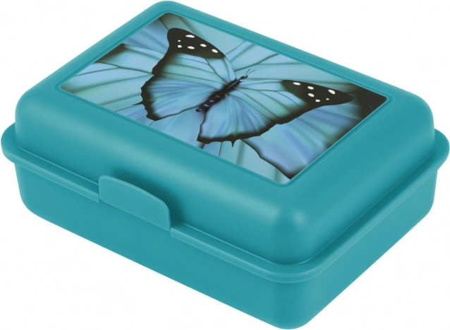 Butterfly Lunch Box
