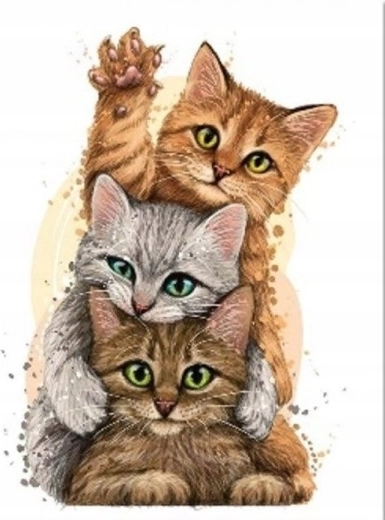 Diamond Painting Cat Pyramid 30 × 40 cm
