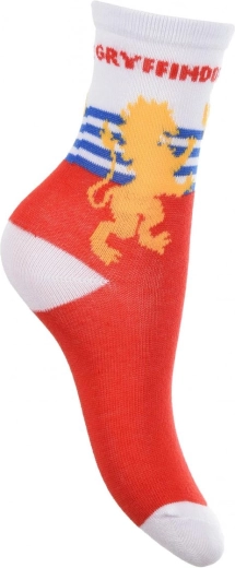 Gryffindor motif with bold lettering and crest