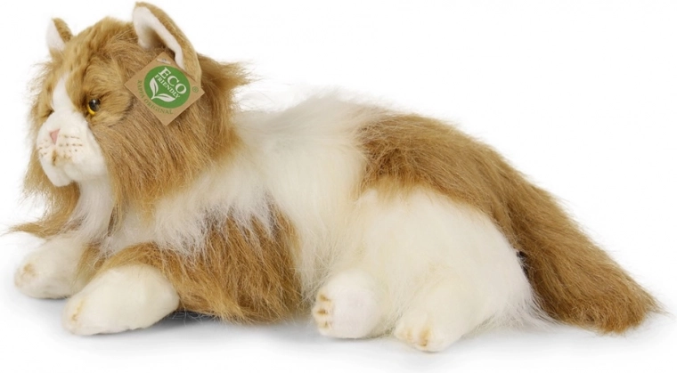 ECO‑FRIENDLY pildījums no pārstrādātām PET