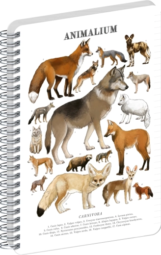 Notique Animalium Spiral Notebook – Canids, ruled, A4