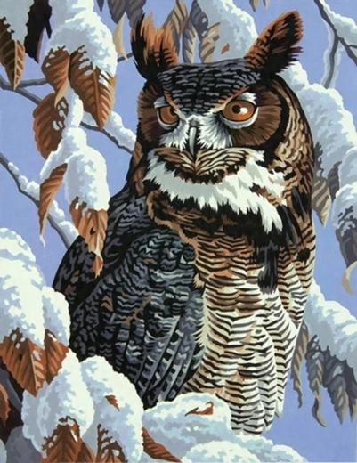 Norimpex Krāsošana pēc numuriem Pūce uz apsniguša zara 40 × 50 cm