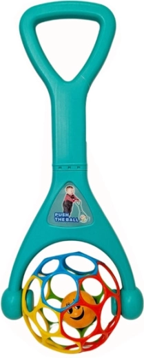 Push toy with ball