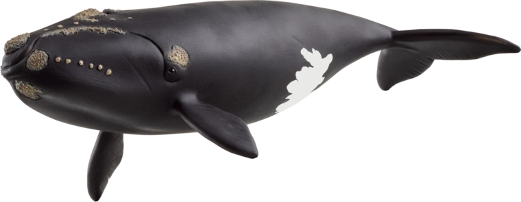 Schleich dzīvnieka figūriņa – Ziemeļatlantijas valis