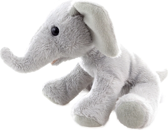 Kompakts izmērs 15 cm