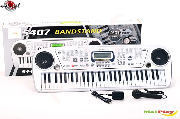 Electronic organ with microphone, 54 keys