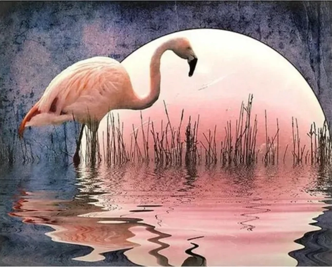 Norimpex Krāsošana pēc numuriem Flamingo 40 × 50 cm