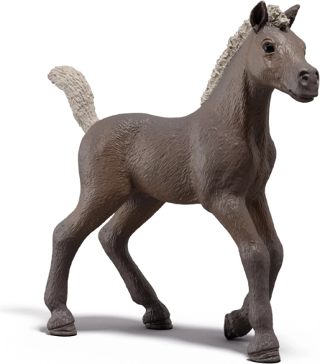 Collectible Foal Darcy SCHLEICH Horse Club – Limited Edition