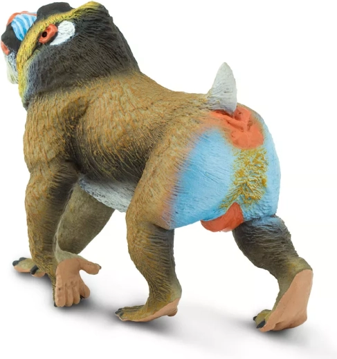 Ideāli spēlēm, mācībām un kolekcionēšanai