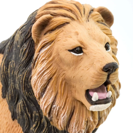 Realistic lion details