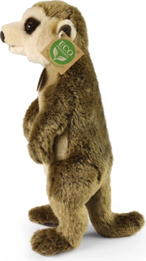 Eko pildījums no pārstrādātām PET pudelēm