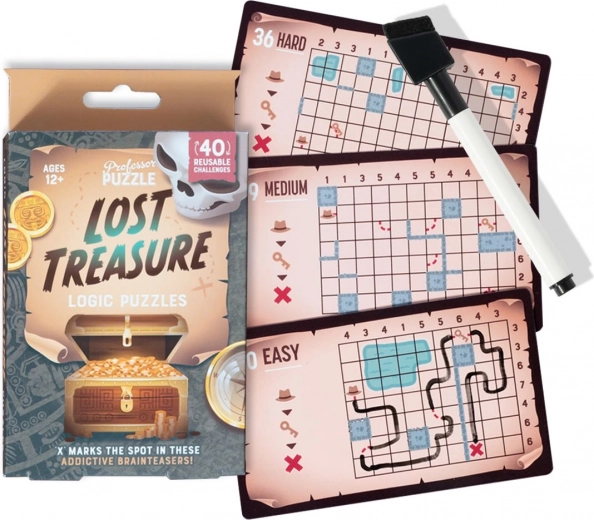 Professor Puzzle loģiskā spēle Lost Treasure – mīklu komplekts ceļošanai