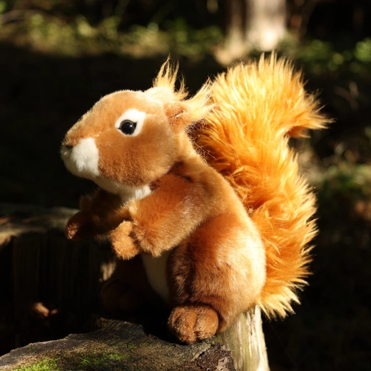 Bushy tail and adorable design