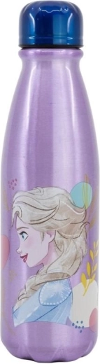Frozen Bottle 600 ml