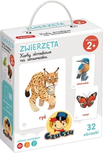 Animal Cards on a String