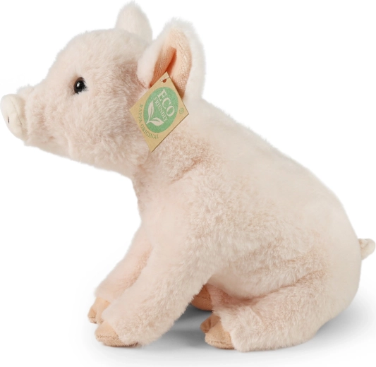 ECO FRIENDLY pildījums no pārstrādāta PET