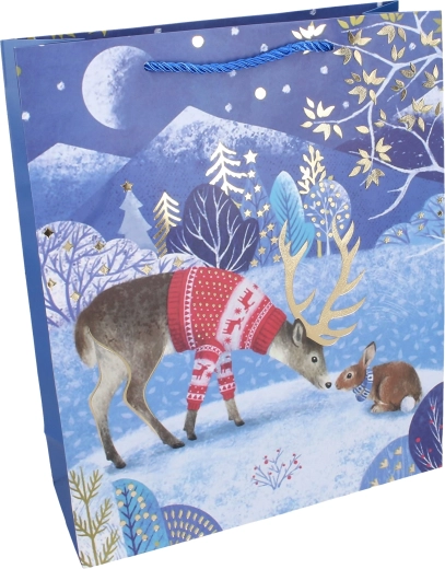 Burvīgs ziemas dizains