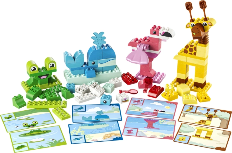 Double-sided cards for building and mixing