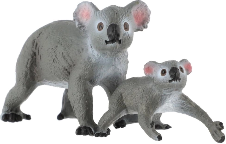 Koala ar mazuli