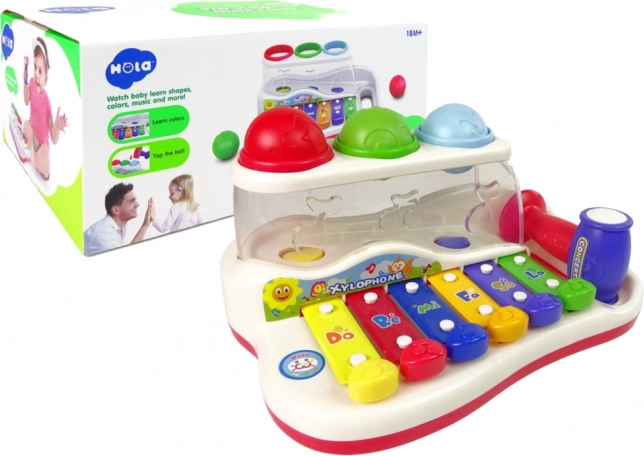 Educational xylophone for toddlers with hammer and colorful balls