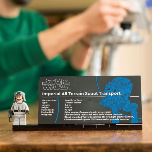 Kolekcionārs displejs ar nosaukuma plāksnīti un minifigūru