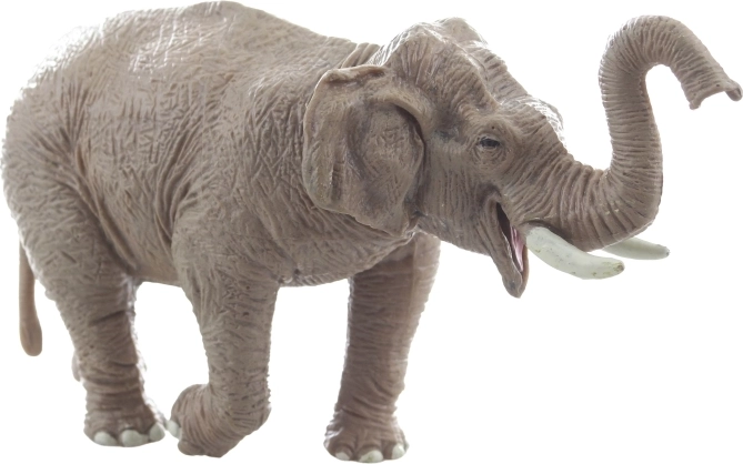 Izturīga un stabila konstrukcija