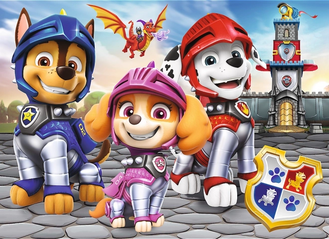 MiniMAXI puzle PAW PATROL bruņinieki – 20 detaļas