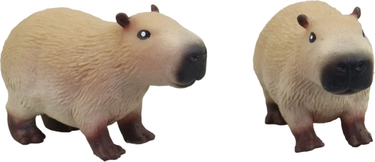 Cute capybara appearance