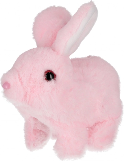 Maigs plīšs, kas aicina uz mīļošanos