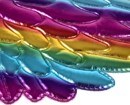 Sparkly wings with a metallic effect