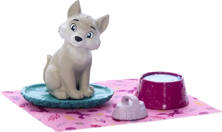 Adorable wolf cub and care accessories