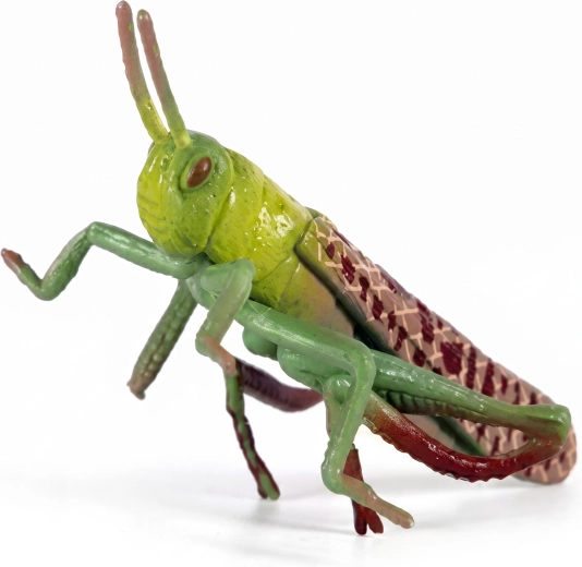 Plastic Grasshopper 7 cm