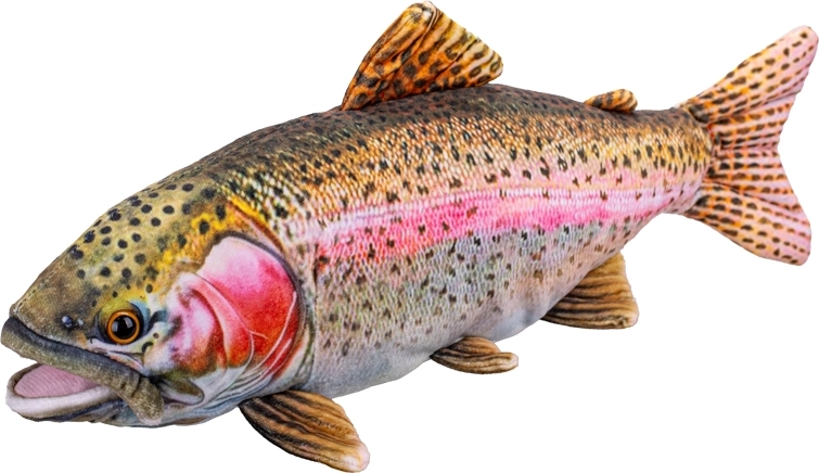 Pūkains forele 38 cm