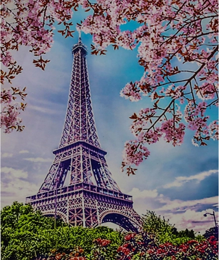 Norimpex Paint by Numbers Eiffel Tower Against a Floral Background 40 × 50 cm
