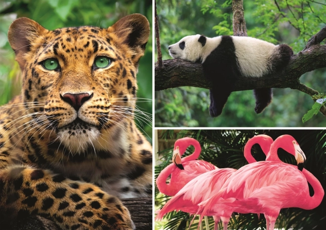 Mīklu dzīvnieki – kolāža 1000 gabaliņu EKO