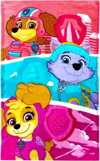 Paw Patrol Towel 30 × 50 cm