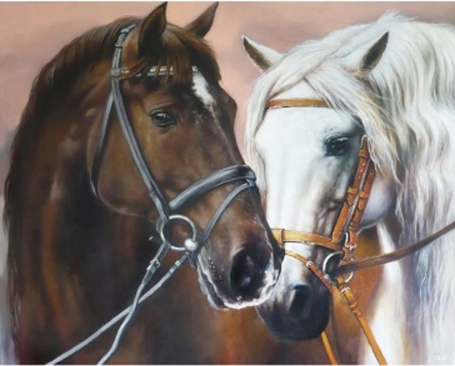 Norimpex Gleznošana pēc numuriem — apskāvušies zirgi, 40 × 50 cm