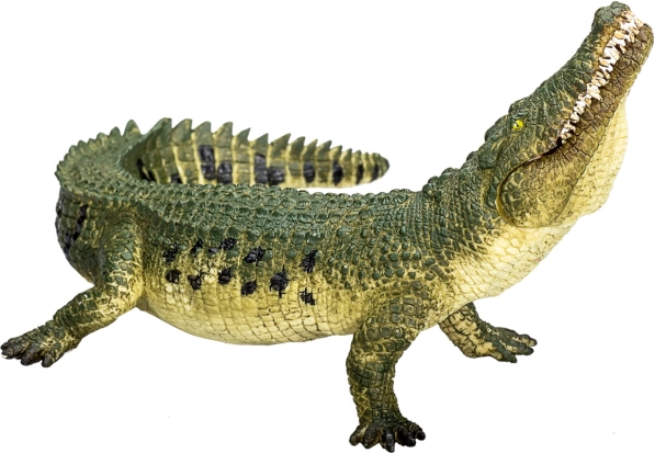 Realistic Crocodile with Movable Jaw